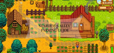 Stardew Valley Bouncer guide .